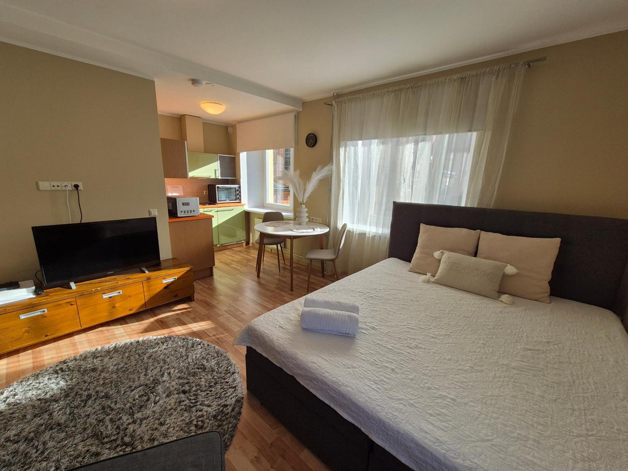 Klara Apartment タルトゥ エクステリア 写真