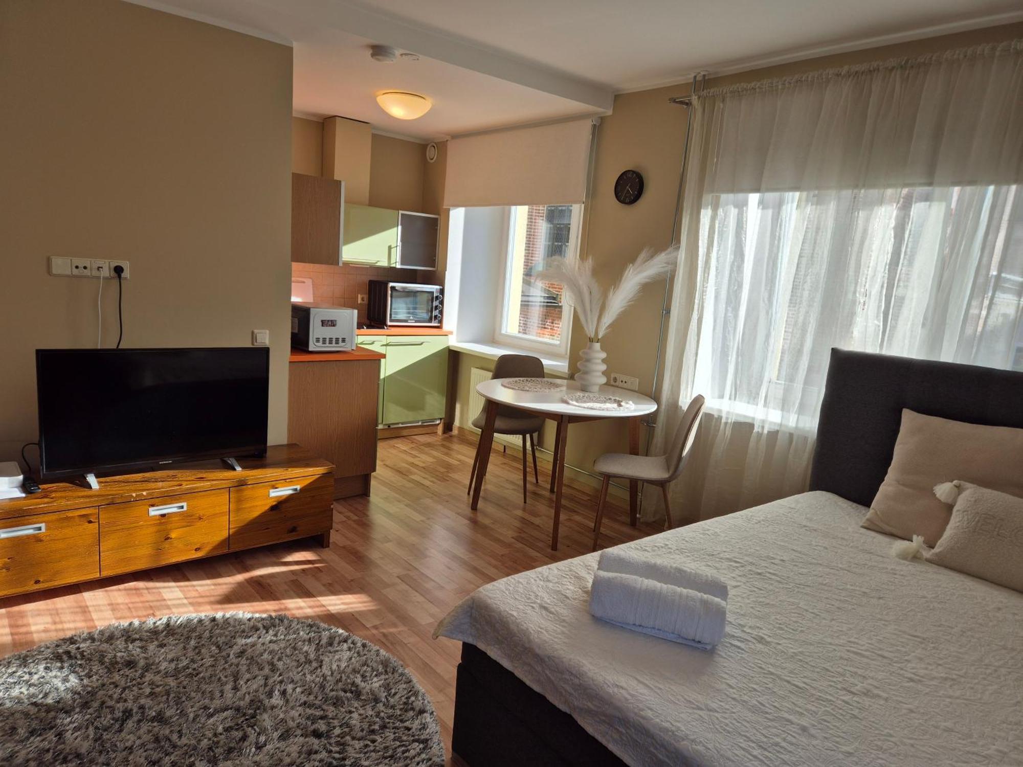 Klara Apartment タルトゥ エクステリア 写真